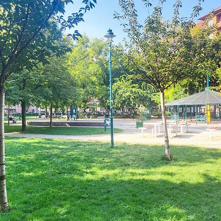 - Comfy- Easy Sleep *